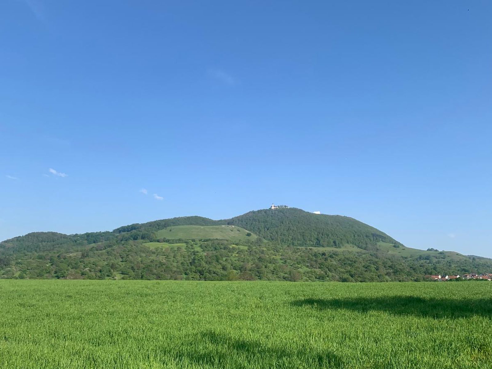 Blick auf die Teck mit der Burg über einem grünen Feld