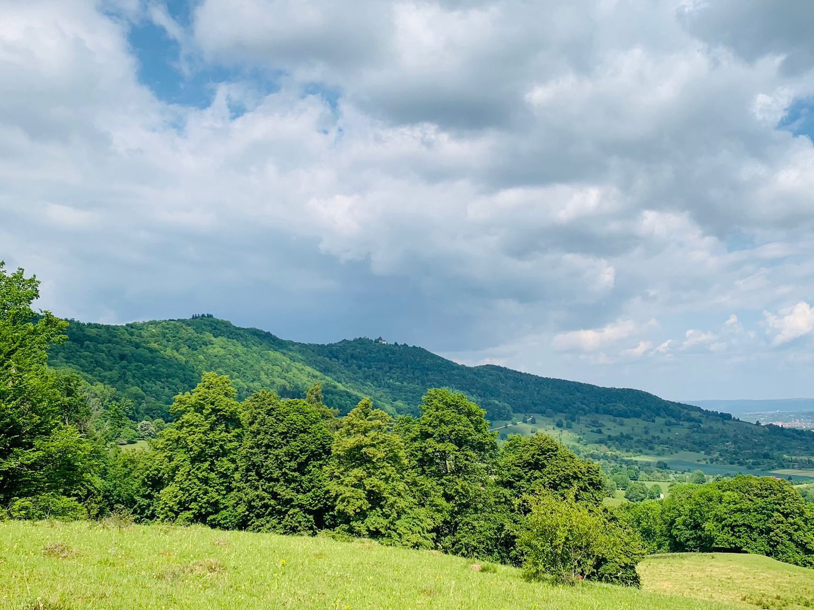 Der bewaldete Höhenzug der Teck unter großen Wolken